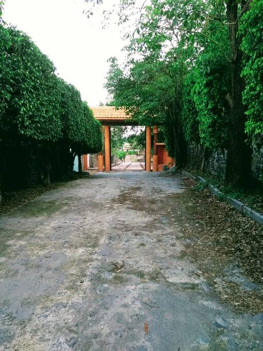 Entrada, con vigilancia 24 horas