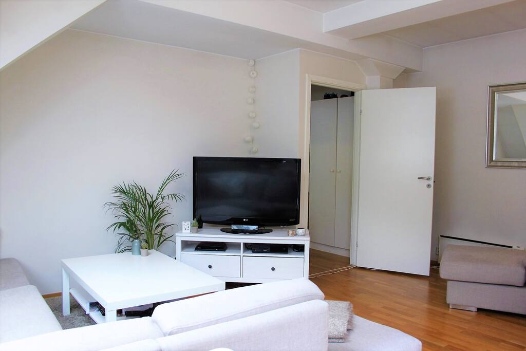 Livingroom with a big coach and cable TV.