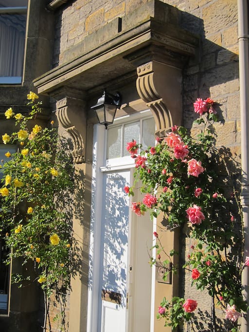 Roses around the front door