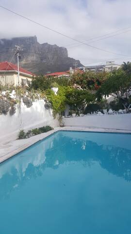 Sunny artist home in perfect location! gallery image 5