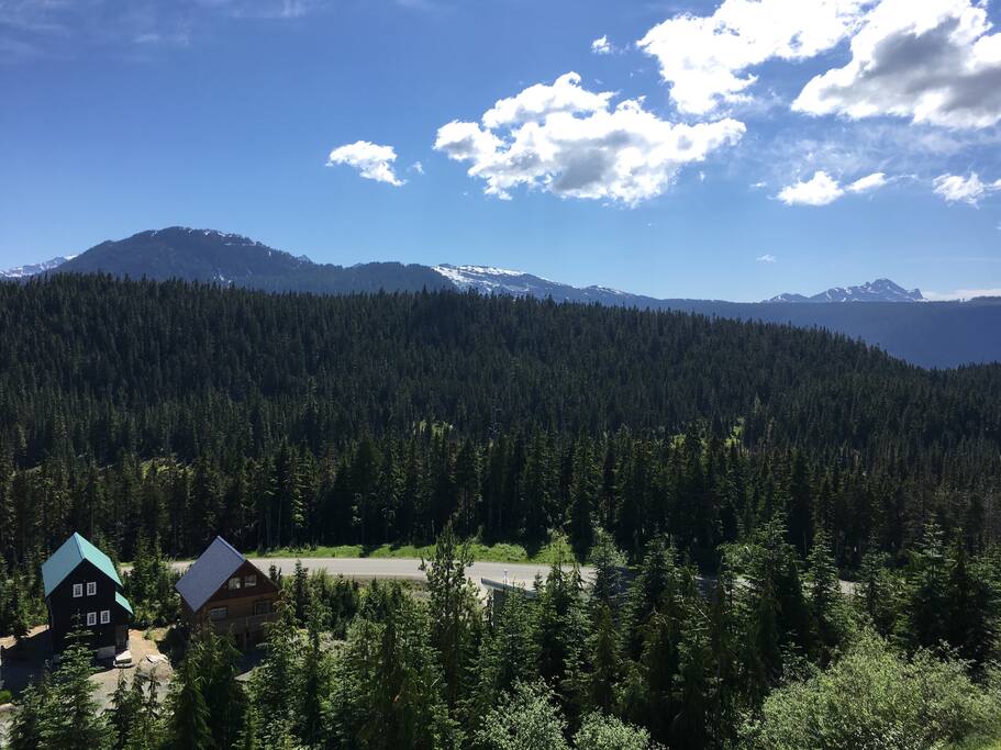 View of Strathcona Park which can be seen from the living room/kitchen, two main bedrooms and deck.