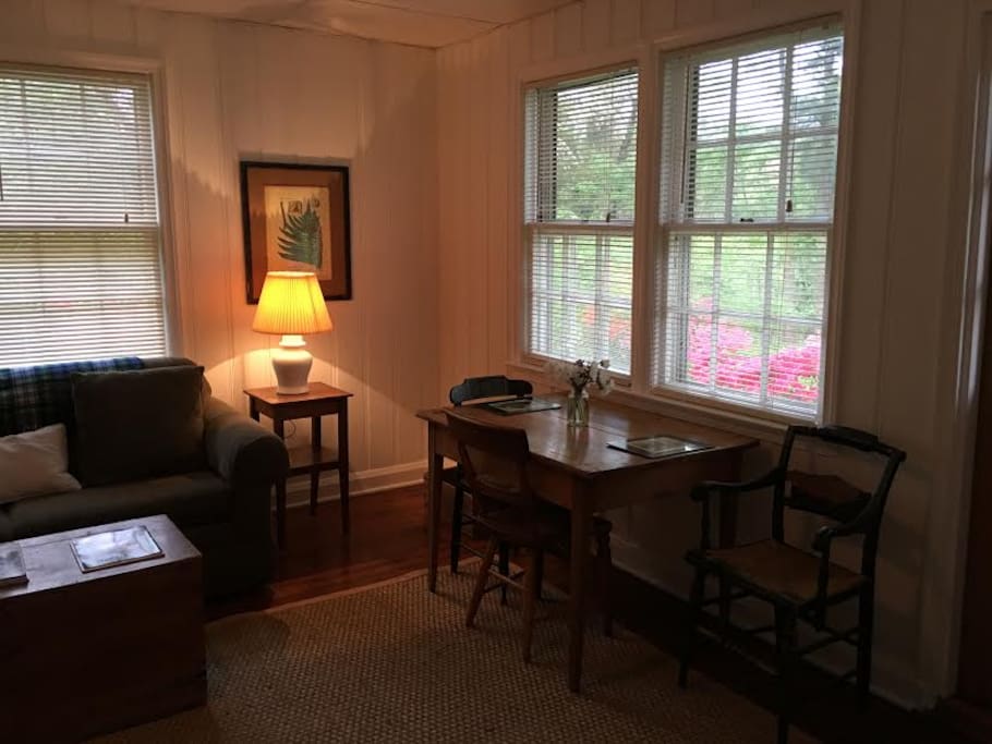 Livingroom, eating area