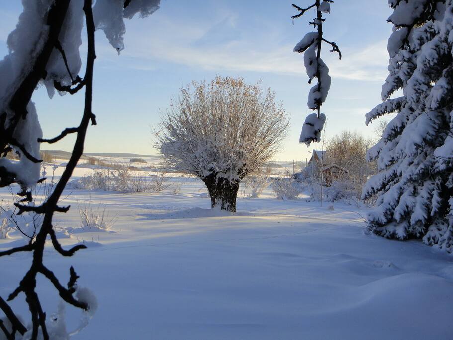 Der Garten in weißer Winterpracht.