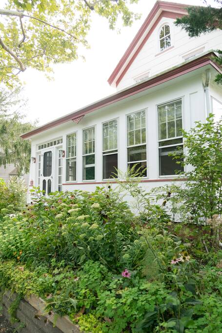 Native plant garden