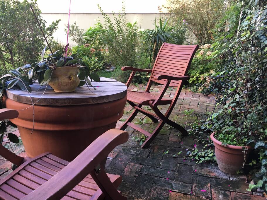 Backyard