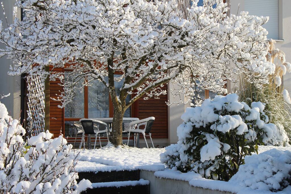 Garten im Winter