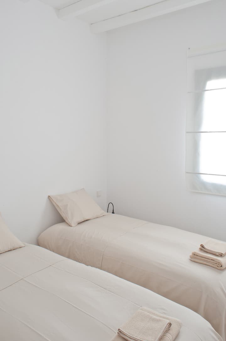 La chambre avec deux lits simples / The room with the two single beds