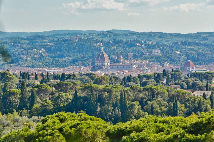 VILLA MEDICEA gallery image 3