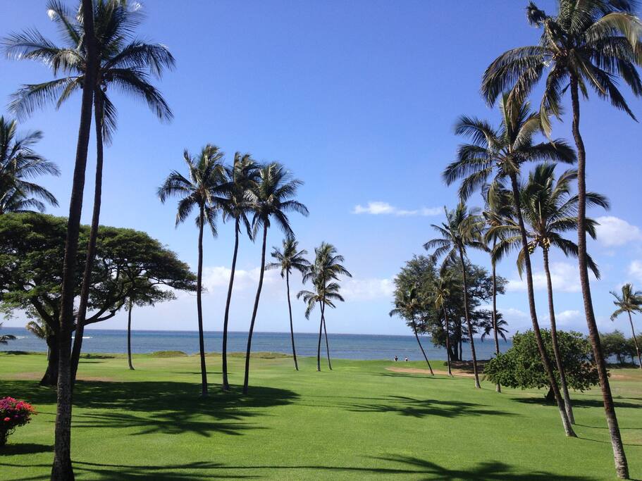 Plenty of Green and Ocean Space