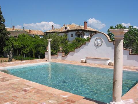 Aristocratic Pool Villa: nature & wifi nr Córdoba