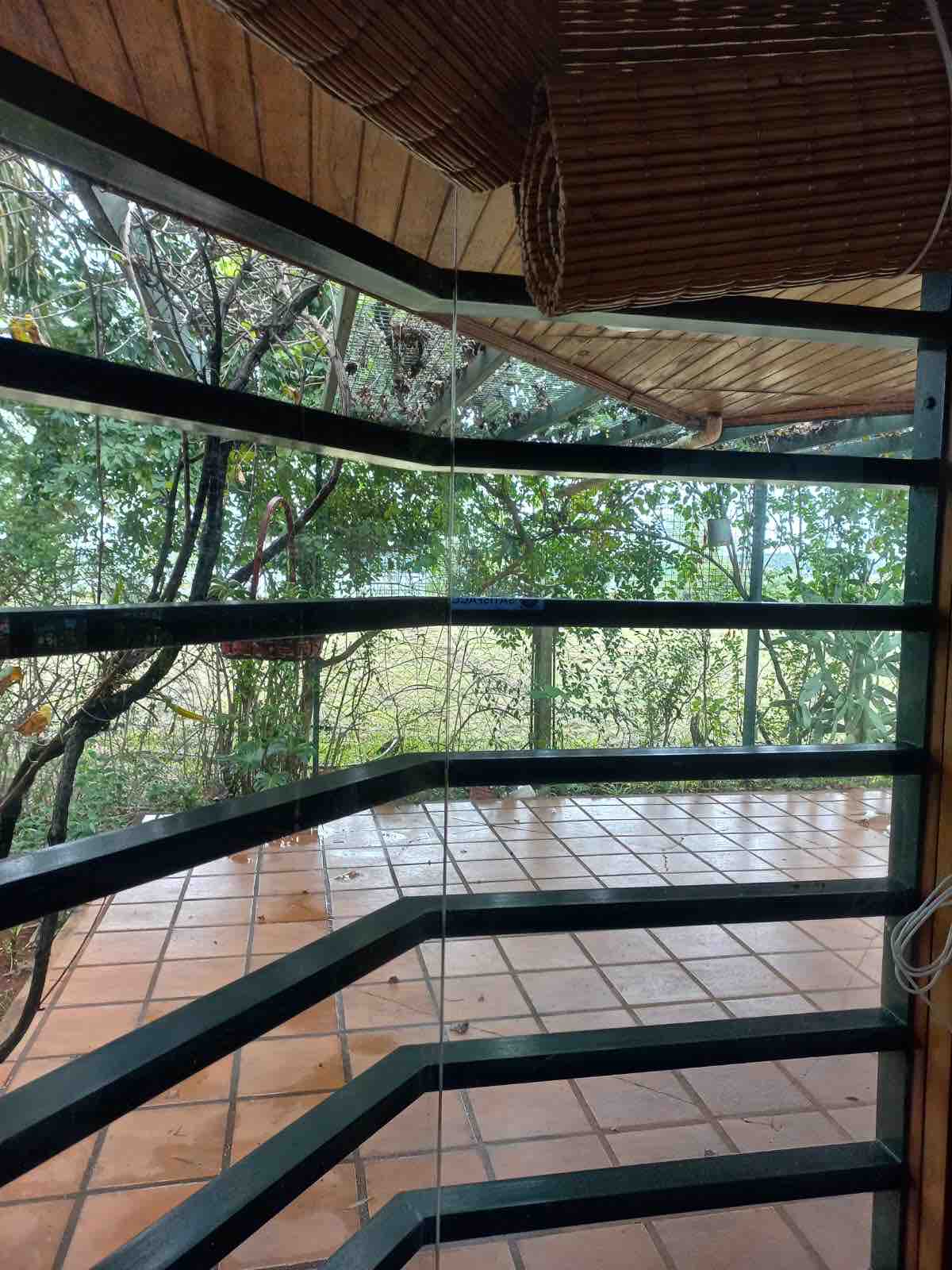 An open space with large windows offers views of the surrounding greenery. Rain drops can be seen on the glass, while the floor features a warm terracotta tile. The area is framed by a unique wooden structure that complements the natural environment outside.