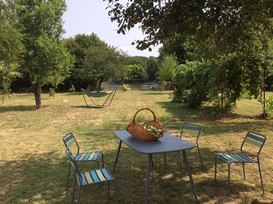 The garden