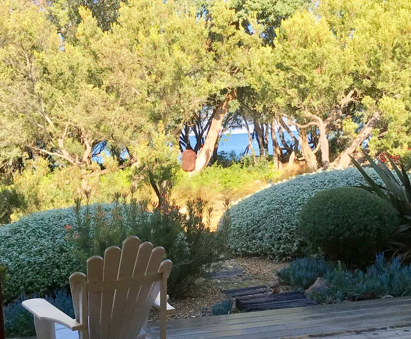 Beach front native garden