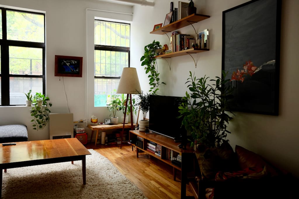 Cozy, Open and Alive