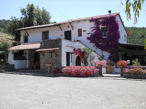 Successful Airbnb property: rustic apartment in the countryside in Portoferraio