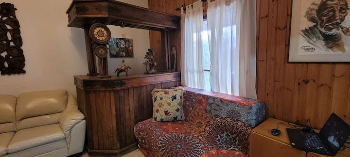 Double sofa bed in the living room