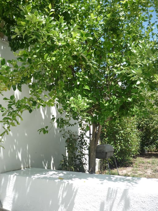 Jardim