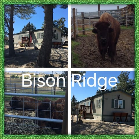Bison Ridge