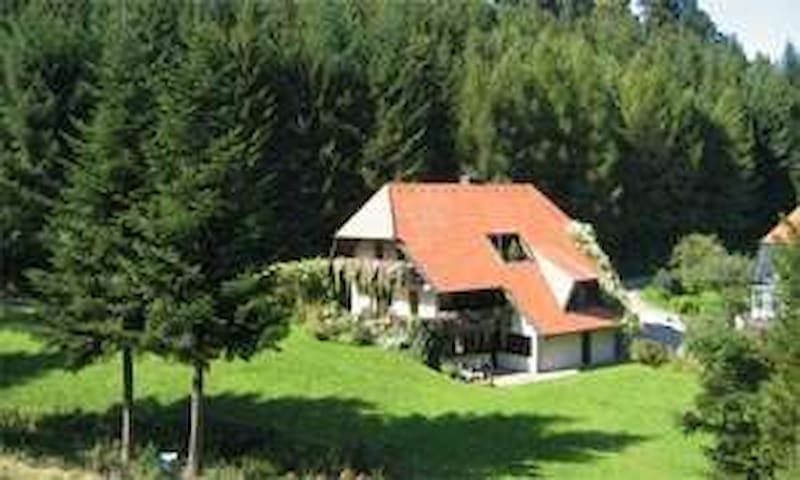 Nicely furnished house idyllically surrounded by a large garden, in a quiet location, ideal for families with children