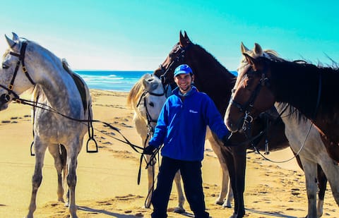 Imóvel de sucesso: The best Beach/Country Holidaysever em Melides