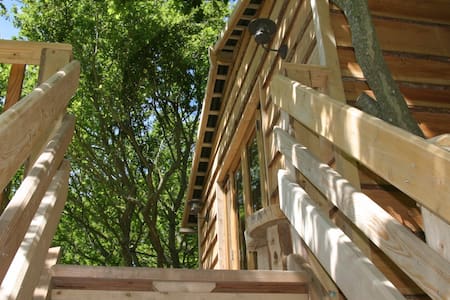 Isle of Wight Tree house