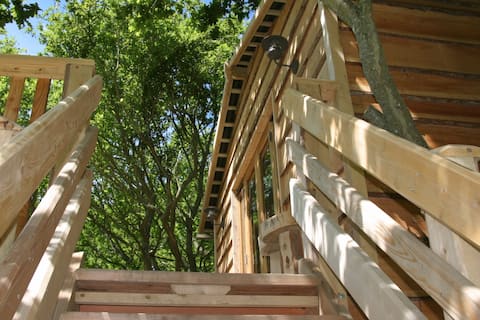 Stylish woodland Treehouse adventure