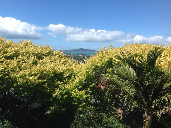 View from of Rangitoto Island  from bedroom