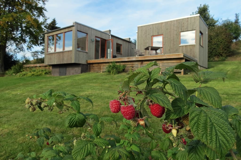 Sunny modern little house  with a view in B stad 