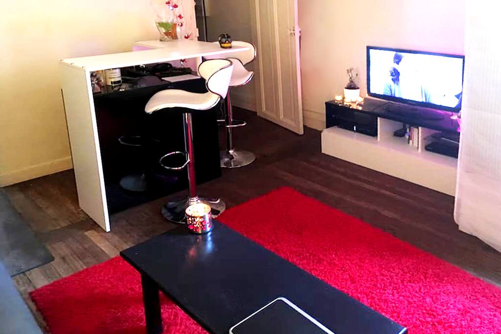 Salon cosy avec Bar, cuisine ouverte, Tv et câble. Canapé convertible, vue sur cour.