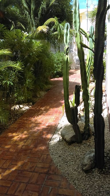Front walk to parking area