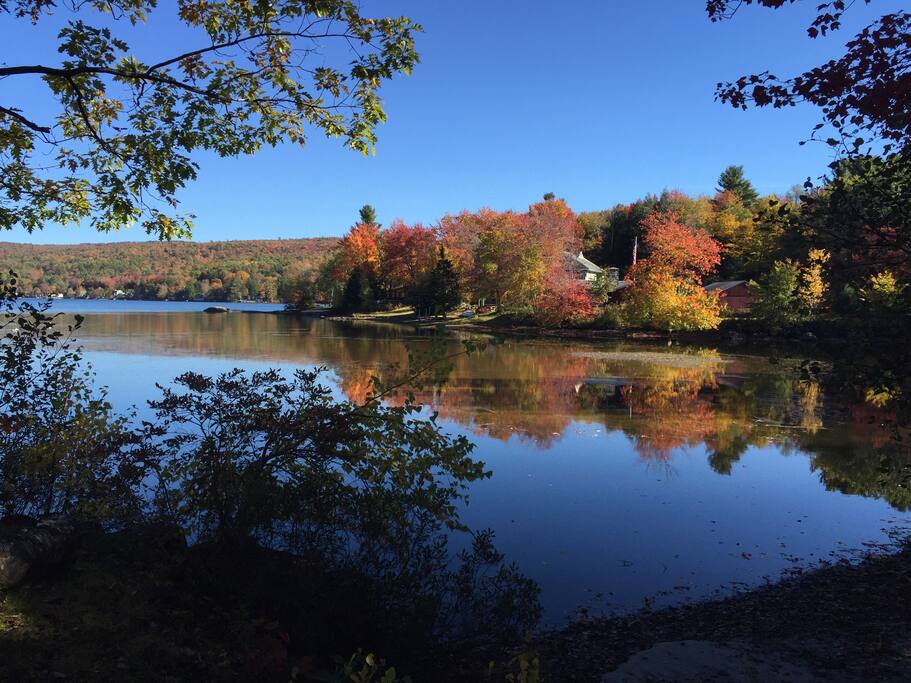 Fall colors from front yard
