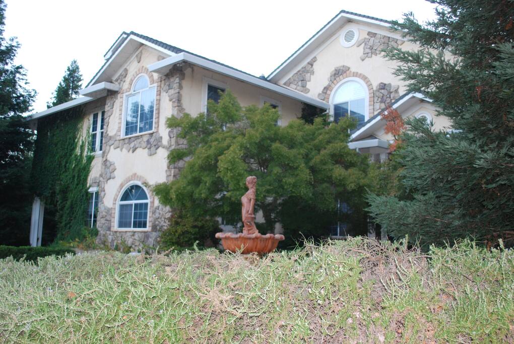 Front of the house