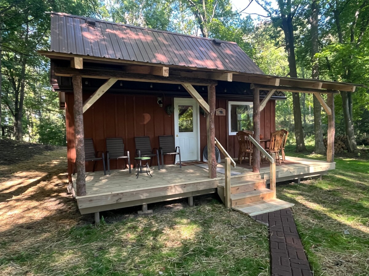 A newly built cabin features a welcoming porch with wooden railings and steps. Four chairs accompany a round table, surrounded by lush greenery. Large windows allow natural light into the interior, while the red exterior contrasts with the earthy tones of the forest.