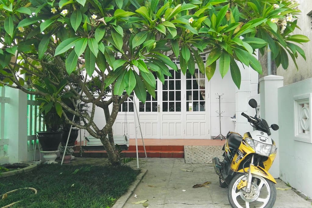 Front Garden