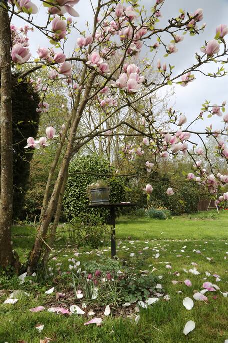 Vous avez accès au jardin