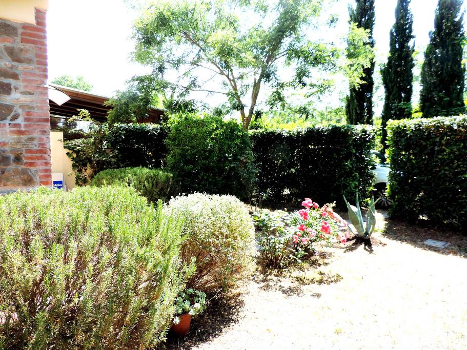 giardino