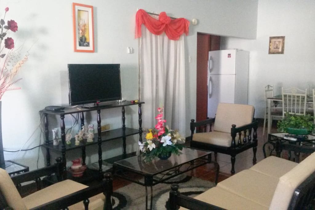 t.v area