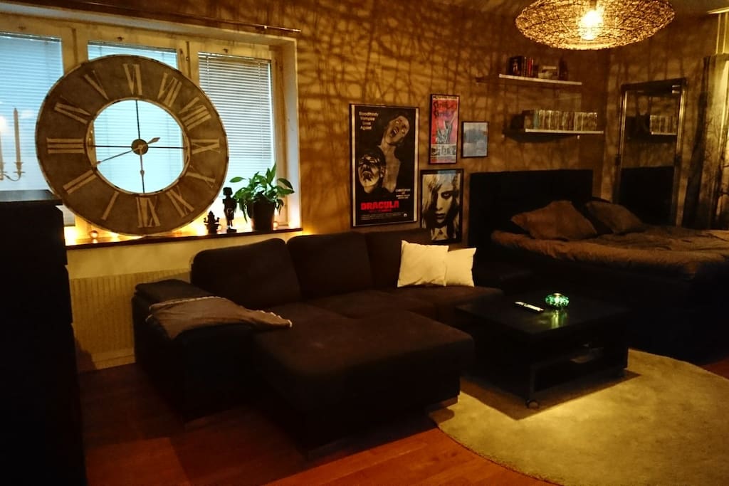 Livingroom/bedroom
