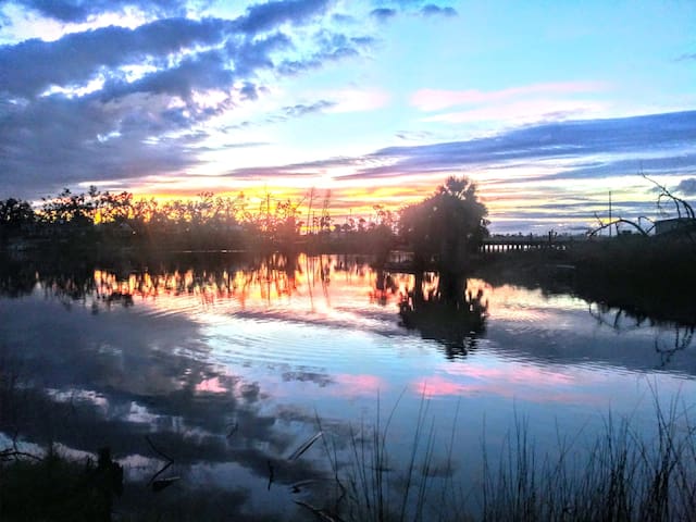 Studio on the Bayou &FREE Dinner Cruise!