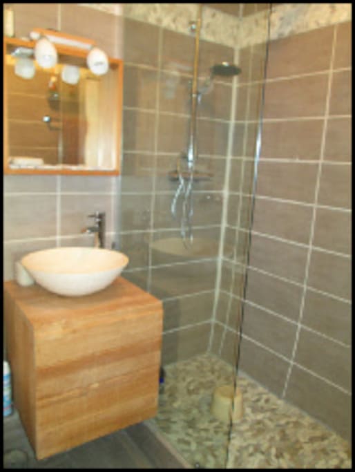 Shower room with toilet and hand basin.