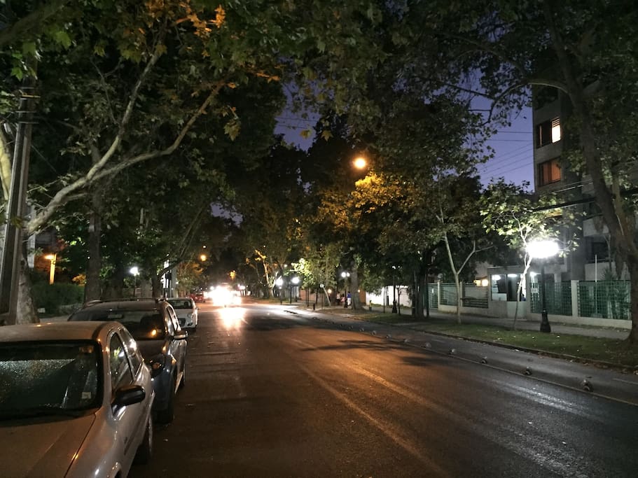 Calle Ricardo Lyon