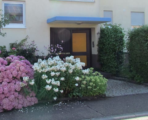 Successful Airbnb property: Beautiful apartment near Europapark in Lahr/Schwarzwald