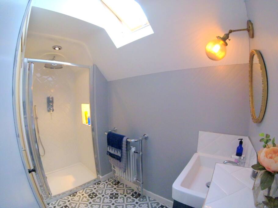 Contemporary Shower Room