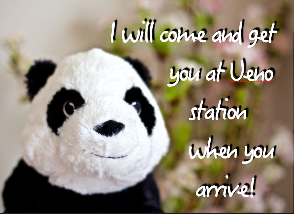 "Je vais vous cherche a la gare de Ueno"