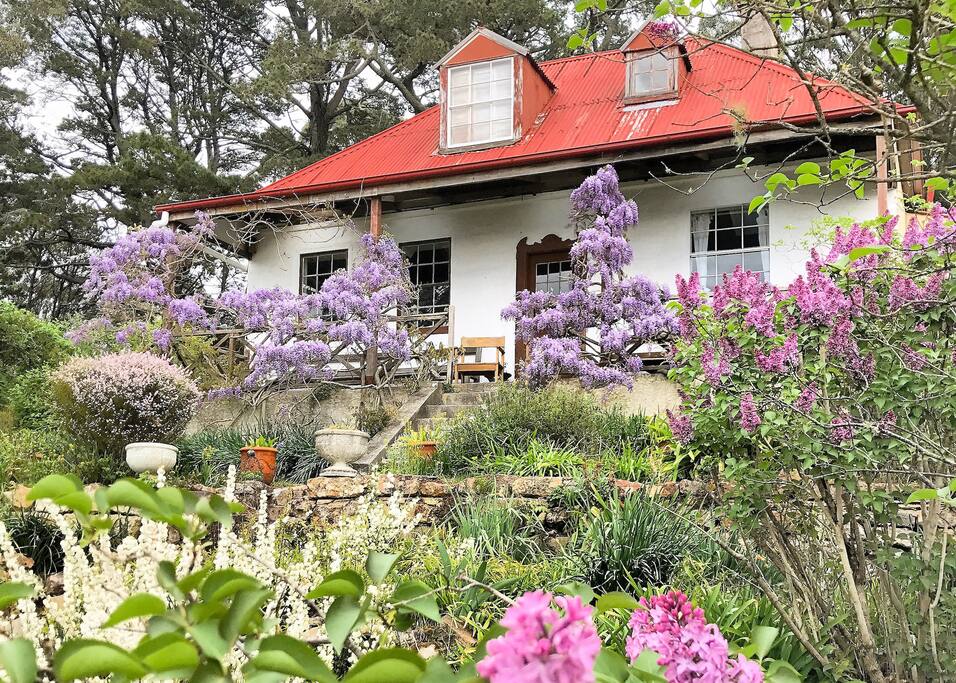 Kanimbla View Cottage - covered in wisteria from early October
