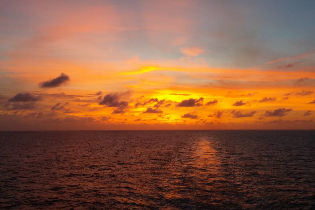 Photo provided by guest-taken at the 7 mile bridge area