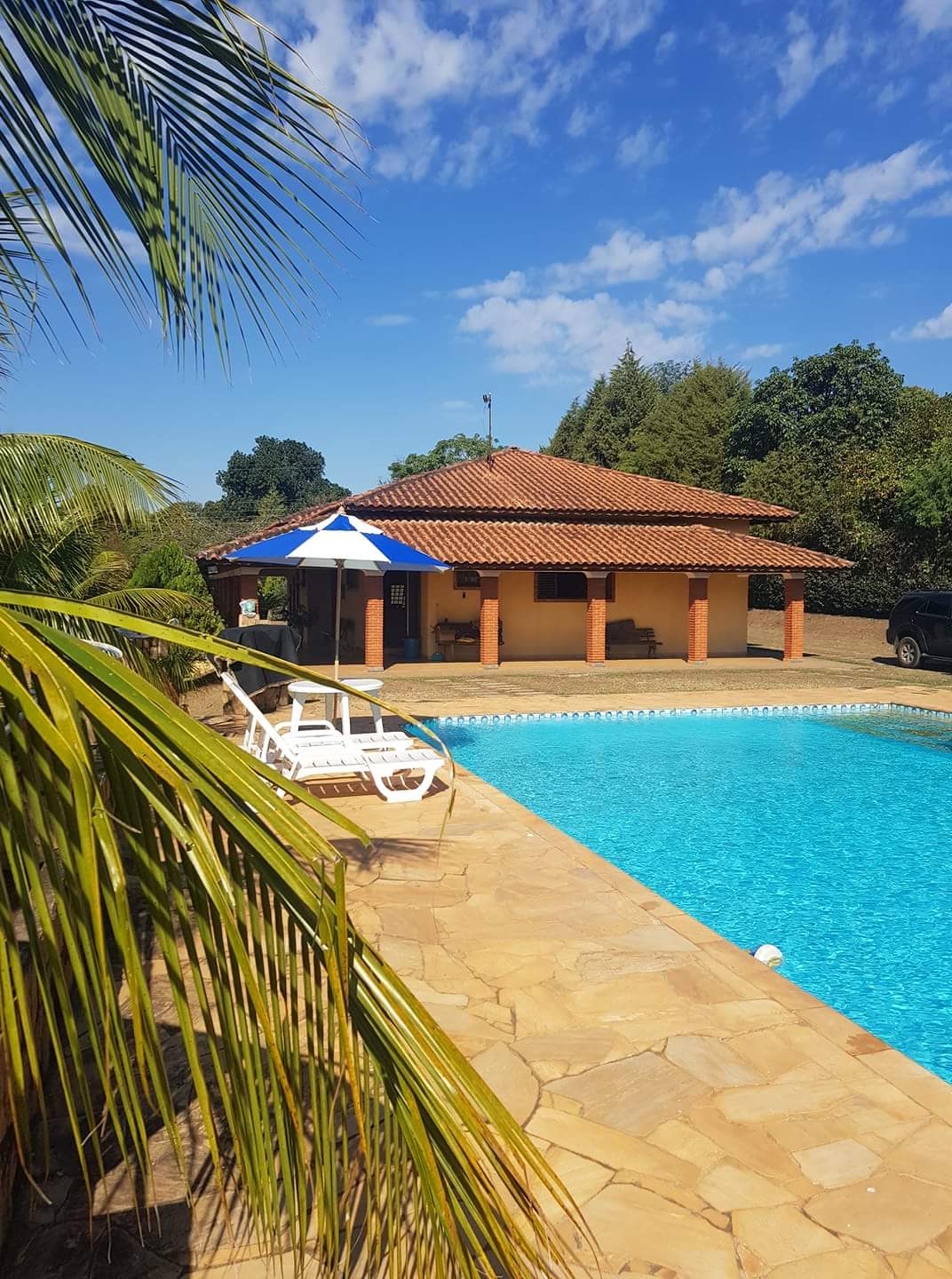A refreshing swimming pool is surrounded by palm trees and sun loungers, creating a relaxing ambiance. The nearby covered area features a rustic roof and is bordered by a stone pathway. Clear blue skies add to the bright, inviting environment.