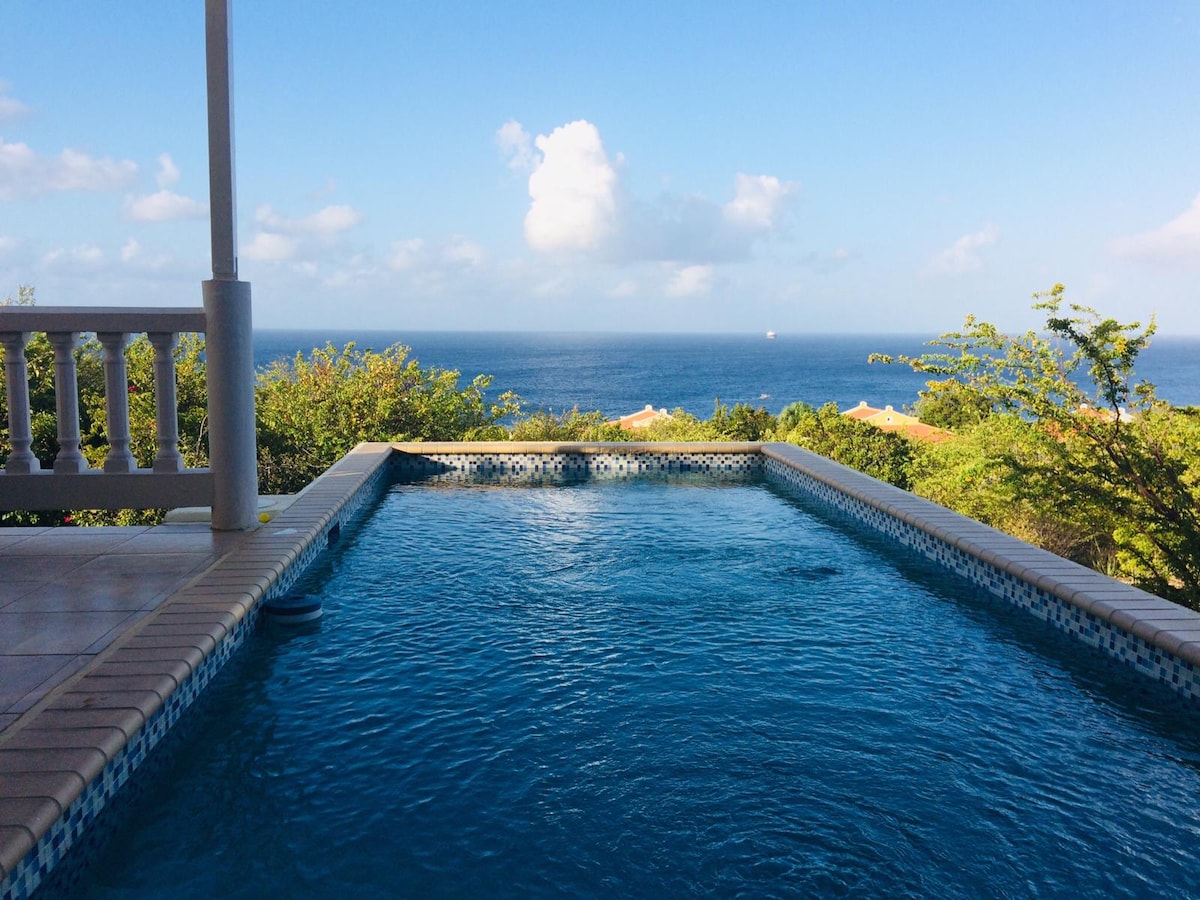 A rectangular pool is visible, surrounded by a tiled deck and framed by lush greenery. The calm water reflects a clear sky and distant sea, with soft clouds adding to the serene atmosphere.