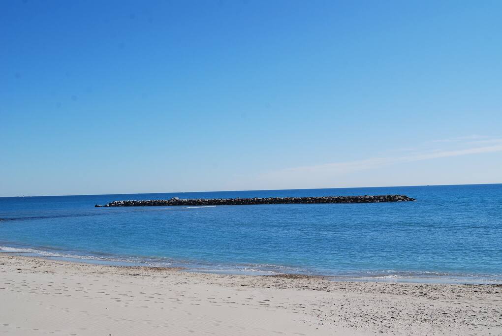 Palavas Les Flots Location Appartement Palavas Les Flots Location Appartement