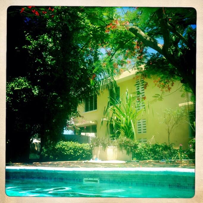 House and Garden